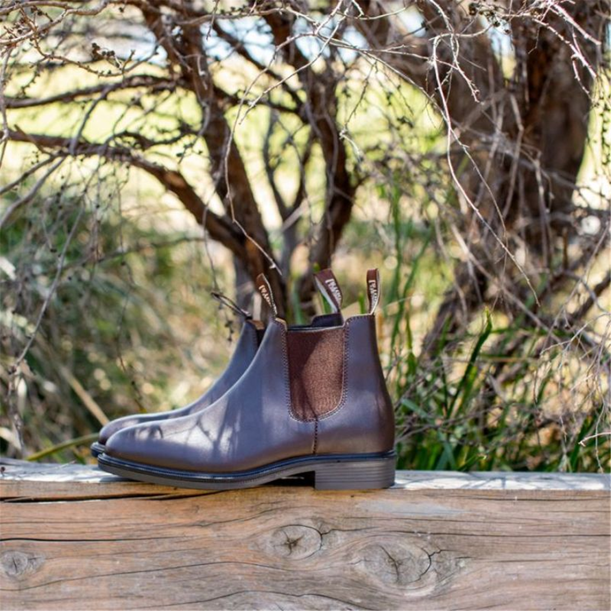 Mongrel 805070 Riding Boot - Brown