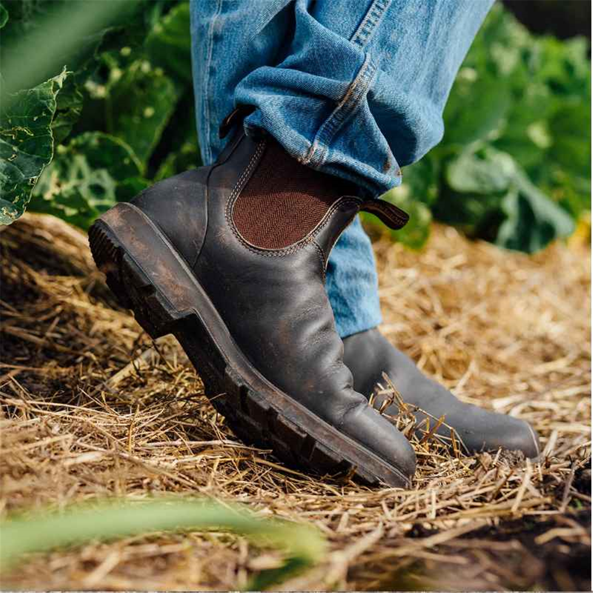Blundstone 600 Unisex Work Boots - Brown