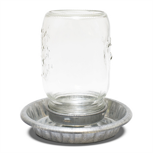 Clear glass jar chicken water holder with metal base on a white background