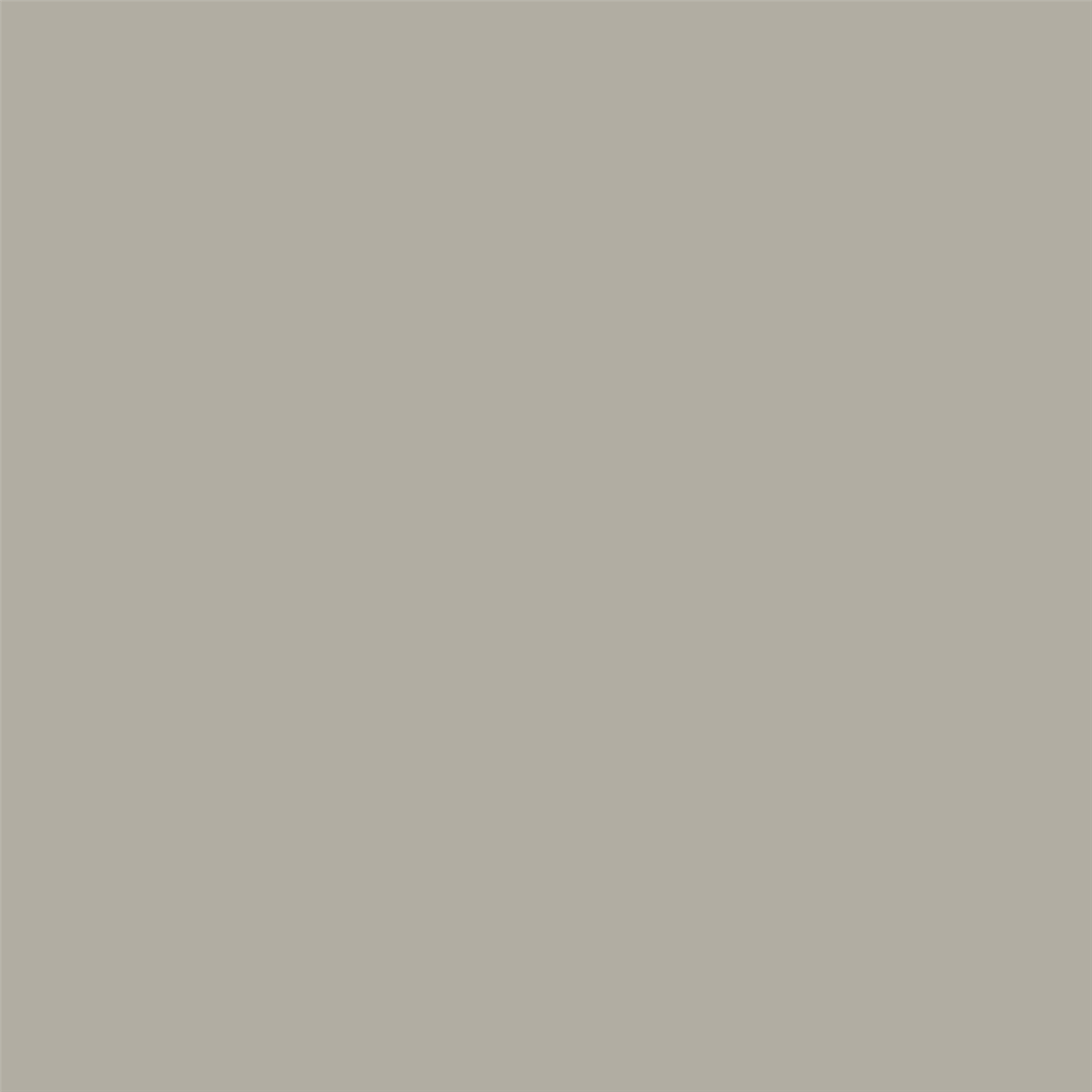 Solid light gray color swatch