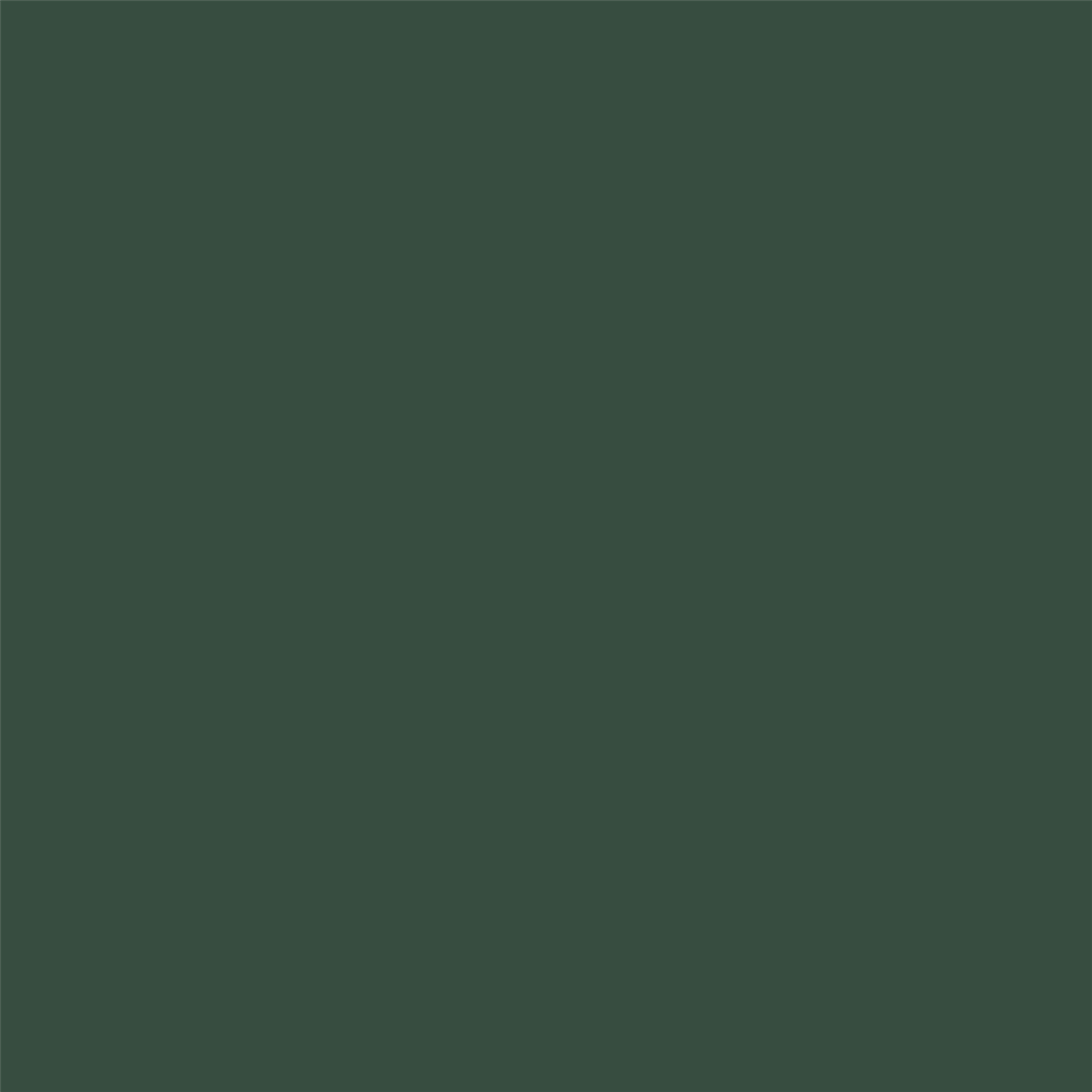 Solid green colour swatch