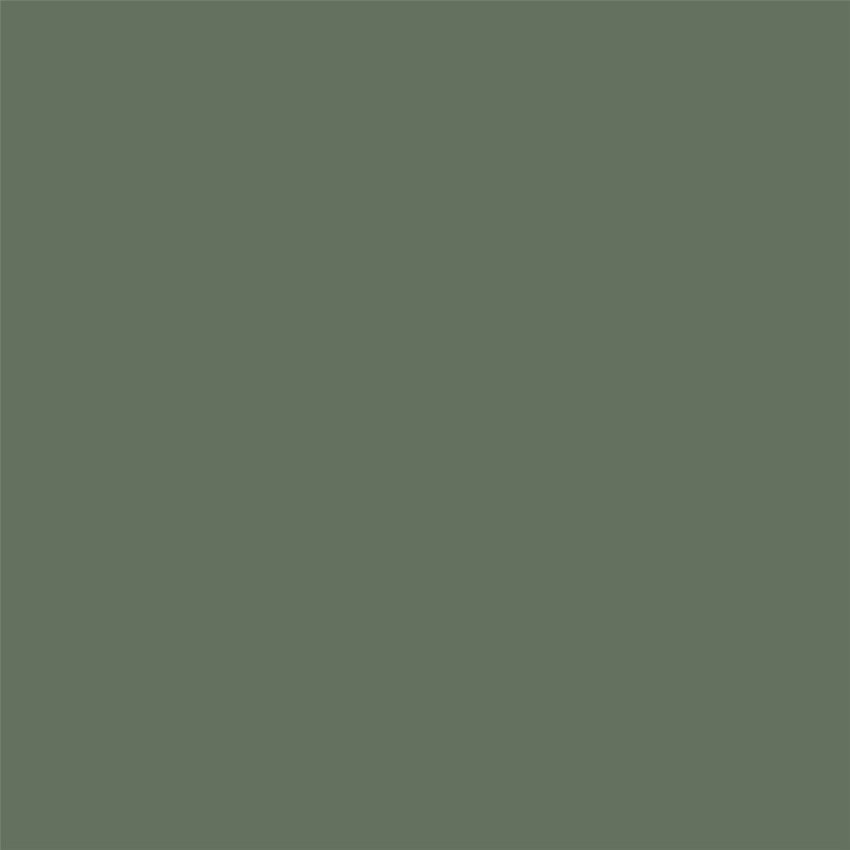 Solid dark green color swatch